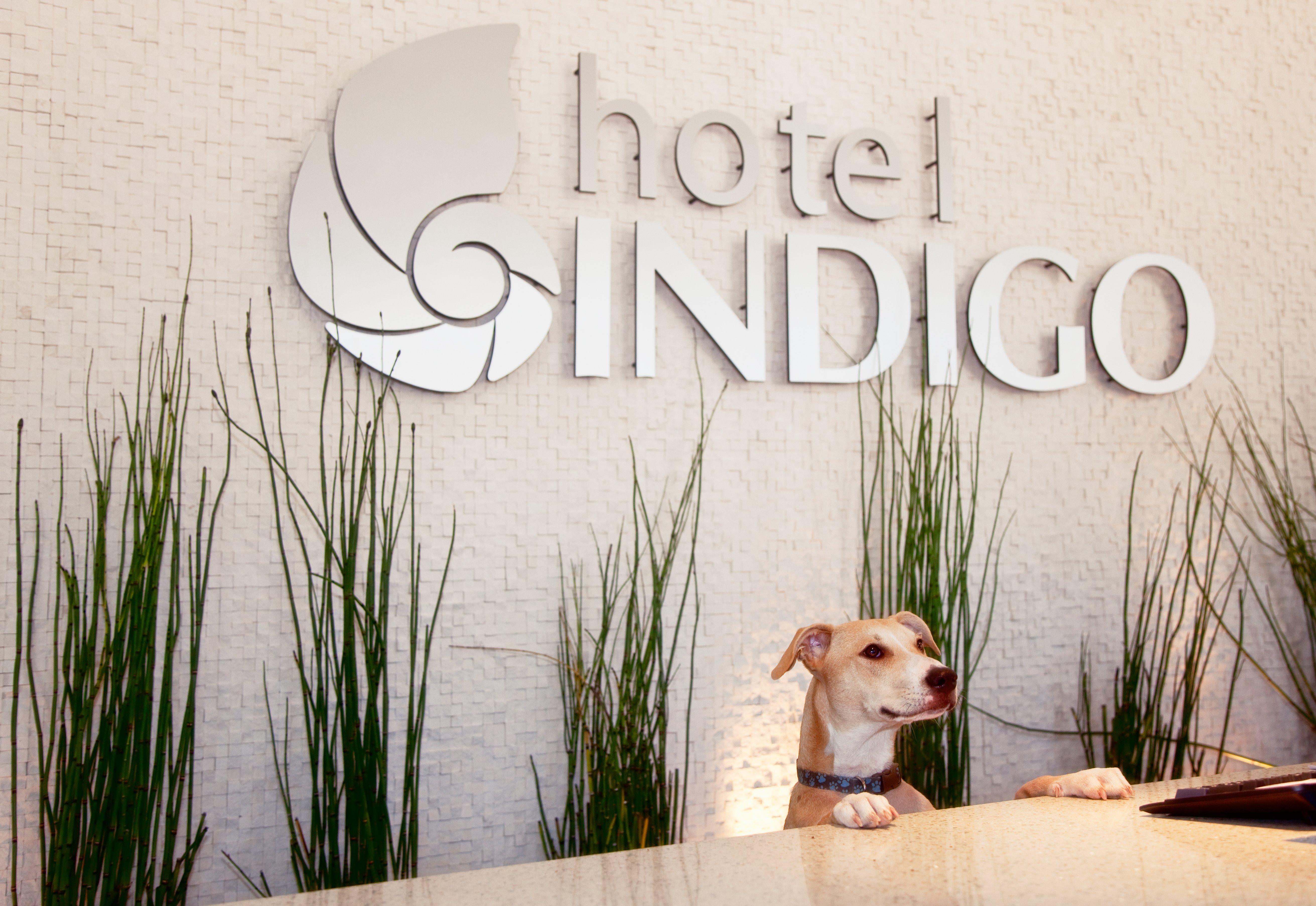 Hotel Indigo San Diego - Gaslamp Quarter By Ihg Экстерьер фото